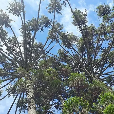 Recanto do Ipê-3